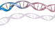 Image for article titled The experiment that showed how DNA replicates itself